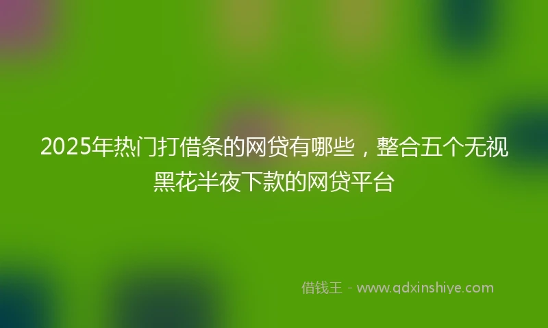 2025年热门打借条的网贷有哪些，整合五个无视黑花半夜下款的网贷平台