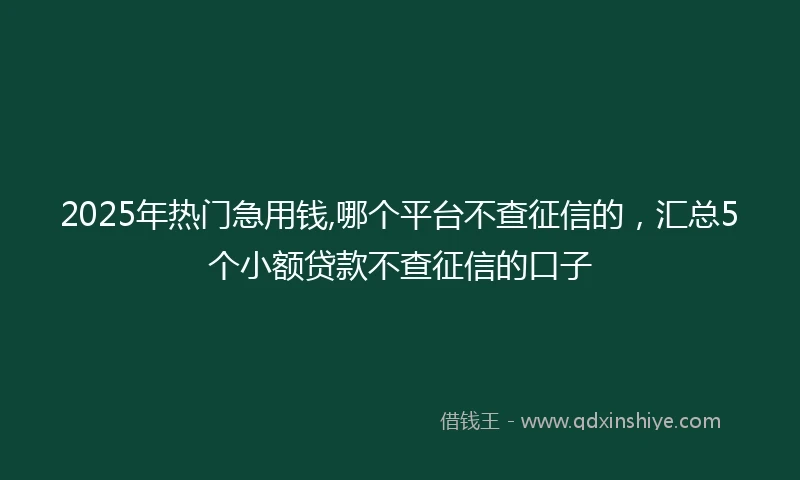 2025年热门急用钱,哪个平台不查征信的，汇总5个小额贷款不查征信的口子