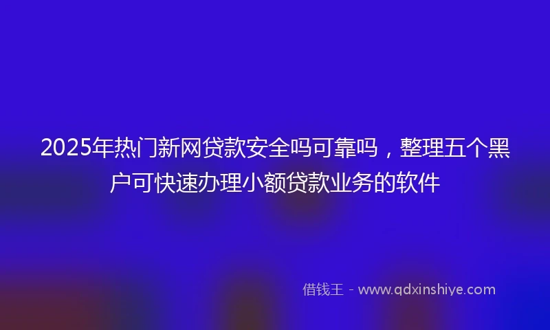 2025年热门新网贷款安全吗可靠吗，整理五个黑户可快速办理小额贷款业务的软件