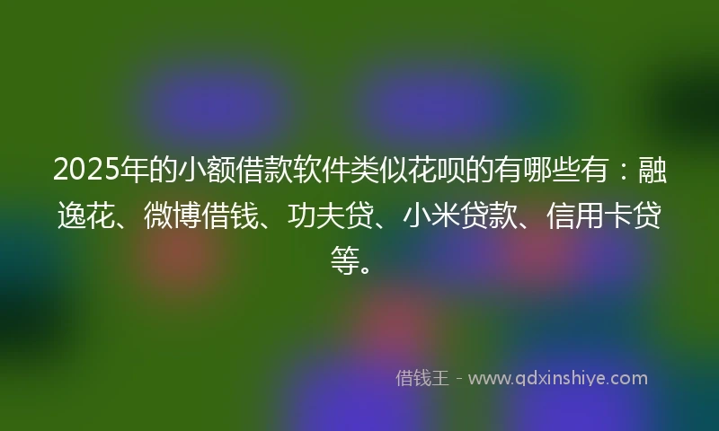 2025年的小额借款软件类似花呗的有哪些有：融逸花、微博借钱、功夫贷、小米贷款、信用卡贷等。