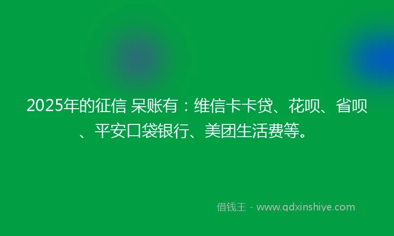 2025年的征信 呆账有：维信卡卡贷、花呗、省呗、平安口袋银行、美团生活费等。