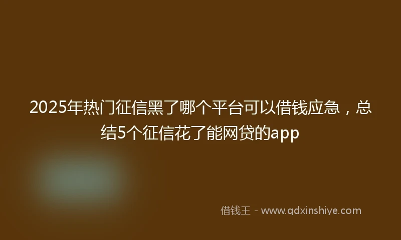 2025年热门征信黑了哪个平台可以借钱应急，总结5个征信花了能网贷的app