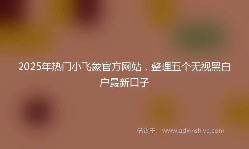 2025年热门小飞象官方网站，整理五个无视黑白户最新口子