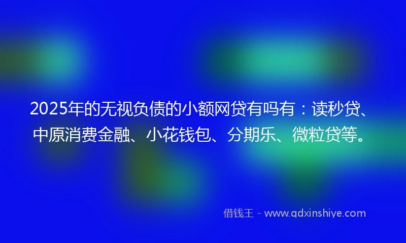2025年的无视负债的小额网贷有吗有：读秒贷、中原消费金融、小花钱包、分期乐、微粒贷等。