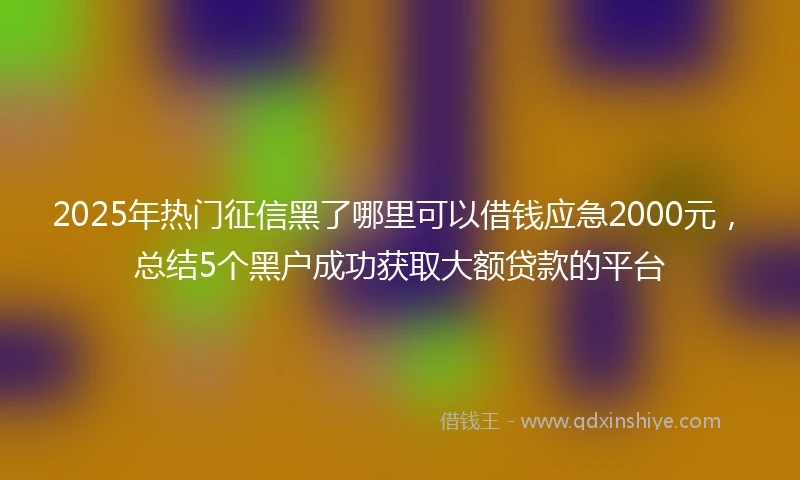 2025年热门征信黑了哪里可以借钱应急2000元，总结5个黑户成功获取大额贷款的平台