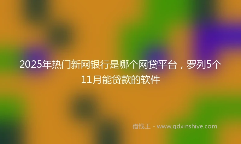 2025年热门新网银行是哪个网贷平台，罗列5个11月能贷款的软件