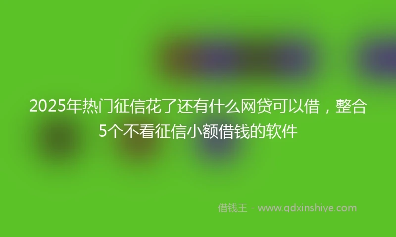 2025年热门征信花了还有什么网贷可以借，整合5个不看征信小额借钱的软件