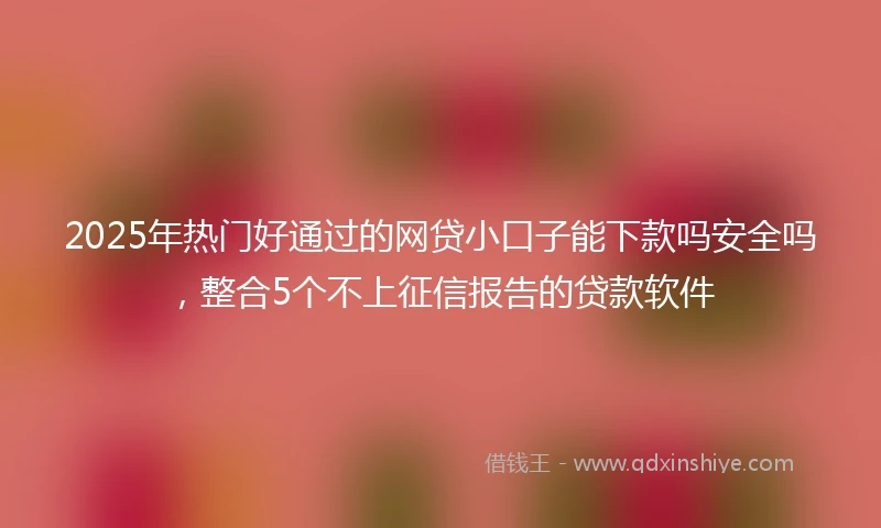 2025年热门好通过的网贷小口子能下款吗安全吗，整合5个不上征信报告的贷款软件