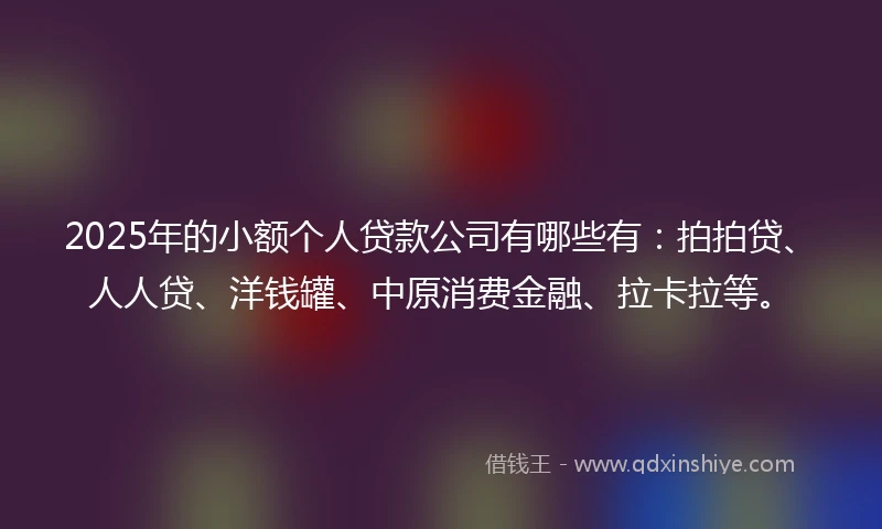 2025年的小额个人贷款公司有哪些有：拍拍贷、人人贷、洋钱罐、中原消费金融、拉卡拉等。