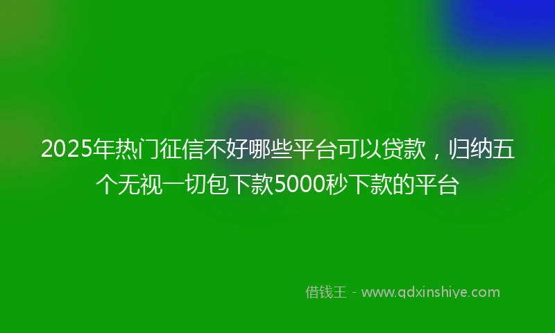 2025年热门征信不好哪些平台可以贷款，归纳五个无视一切包下款5000秒下款的平台