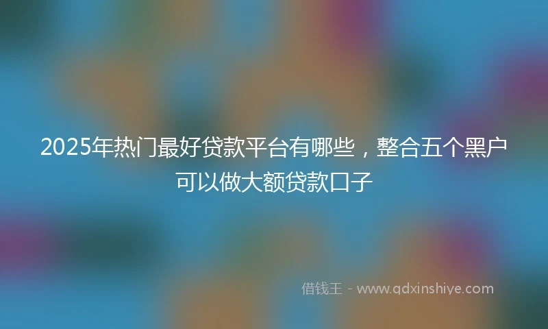 2025年热门最好贷款平台有哪些，整合五个黑户可以做大额贷款口子