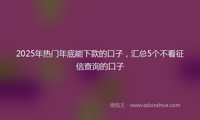 2025年热门年底能下款的口子，汇总5个不看征信查询的口子