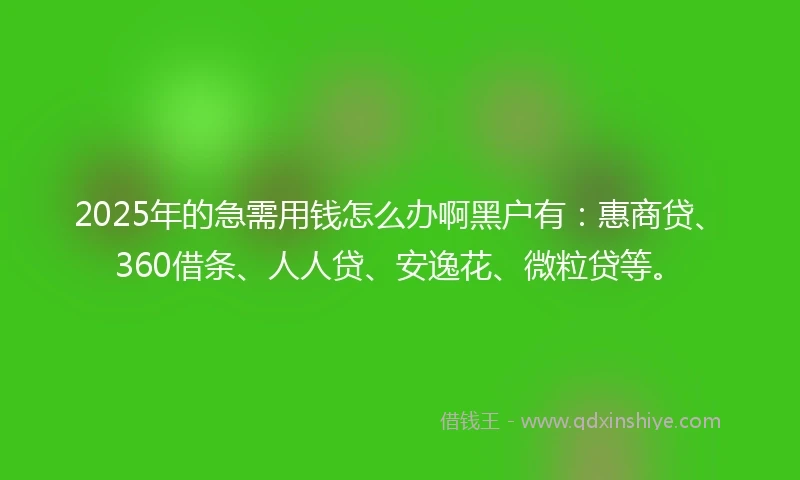 2025年的急需用钱怎么办啊黑户有：惠商贷、360借条、人人贷、安逸花、微粒贷等。