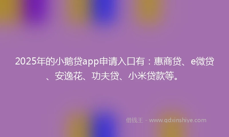 2025年的小鹅贷app申请入口有：惠商贷、e微贷、安逸花、功夫贷、小米贷款等。