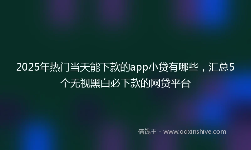 2025年热门当天能下款的app小贷有哪些，汇总5个无视黑白必下款的网贷平台