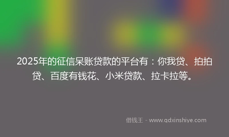 2025年的征信呆账贷款的平台有：你我贷、拍拍贷、百度有钱花、小米贷款、拉卡拉等。