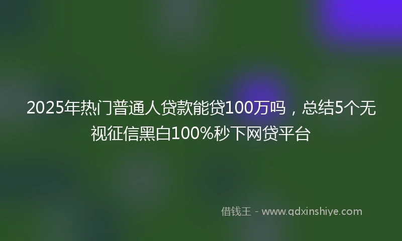 2025年热门普通人贷款能贷100万吗，总结5个无视征信黑白100%秒下网贷平台