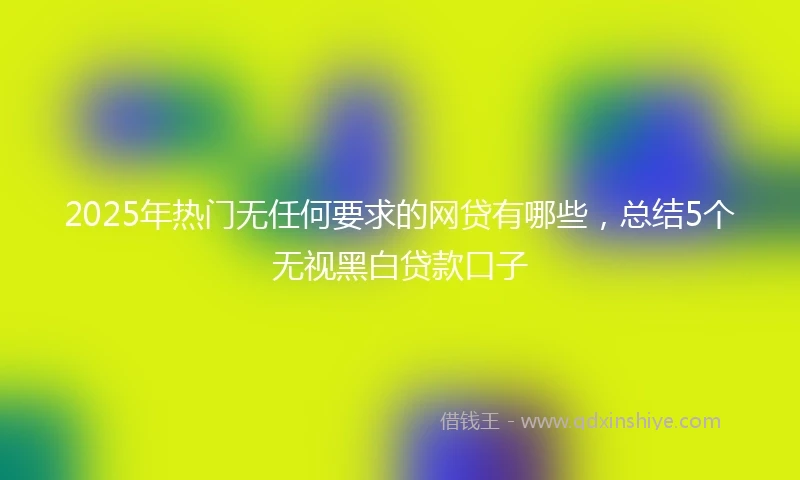 2025年热门无任何要求的网贷有哪些，总结5个无视黑白贷款口子