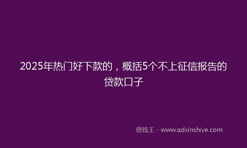 2025年热门好下款的，概括5个不上征信报告的贷款口子