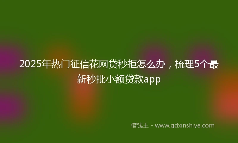 2025年热门征信花网贷秒拒怎么办，梳理5个最新秒批小额贷款app