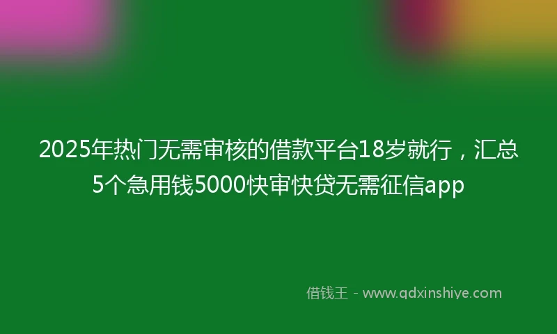 2025年热门无需审核的借款平台18岁就行，汇总5个急用钱5000快审快贷无需征信app
