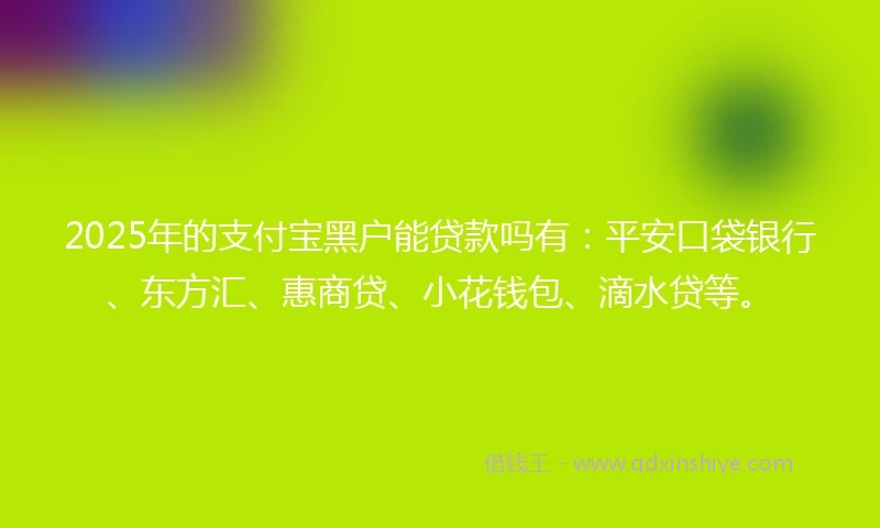 2025年的支付宝黑户能贷款吗有：平安口袋银行、东方汇、惠商贷、小花钱包、滴水贷等。