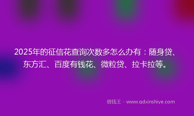 2025年的征信花查询次数多怎么办有：随身贷、东方汇、百度有钱花、微粒贷、拉卡拉等。