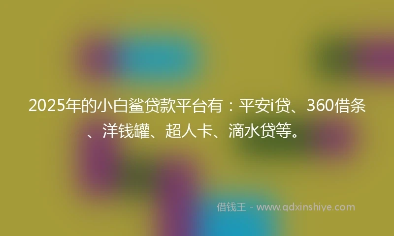 2025年的小白鲨贷款平台有：平安i贷、360借条、洋钱罐、超人卡、滴水贷等。