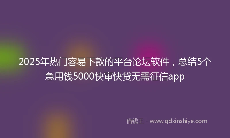 2025年热门容易下款的平台论坛软件，总结5个急用钱5000快审快贷无需征信app