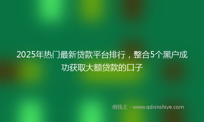 2025年热门最新贷款平台排行，整合5个黑户成功获取大额贷款的口子