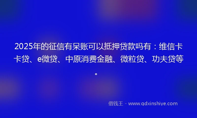2025年的征信有呆账可以抵押贷款吗有：维信卡卡贷、e微贷、中原消费金融、微粒贷、功夫贷等。