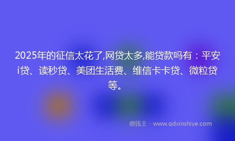 2025年的征信太花了,网贷太多,能贷款吗有：平安i贷、读秒贷、美团生活费、维信卡卡贷、微粒贷等。