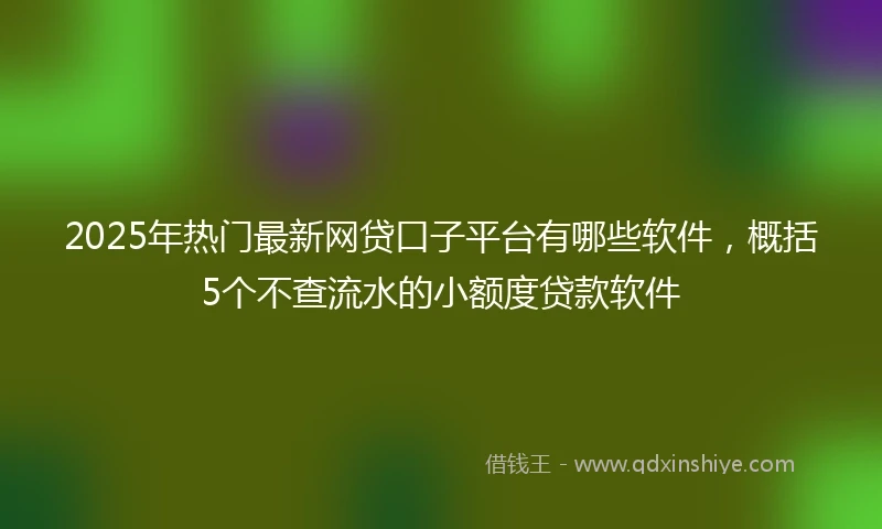 2025年热门最新网贷口子平台有哪些软件，概括5个不查流水的小额度贷款软件