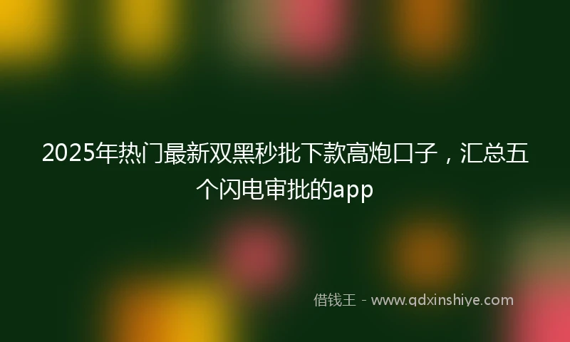 2025年热门最新双黑秒批下款高炮口子，汇总五个闪电审批的app