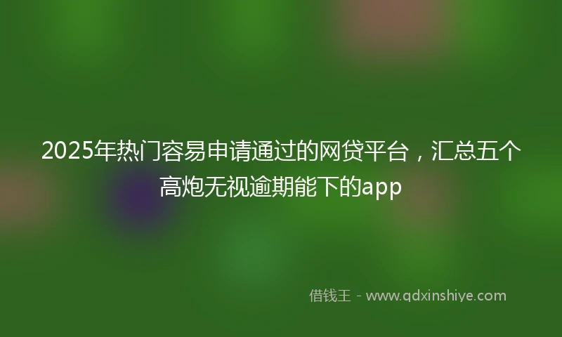 2025年热门容易申请通过的网贷平台，汇总五个高炮无视逾期能下的app