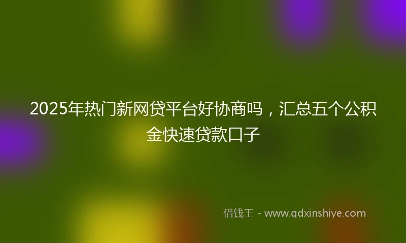 2025年热门新网贷平台好协商吗，汇总五个公积金快速贷款口子