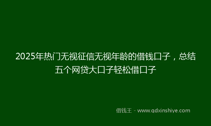2025年热门无视征信无视年龄的借钱口子，总结五个网贷大口子轻松借口子