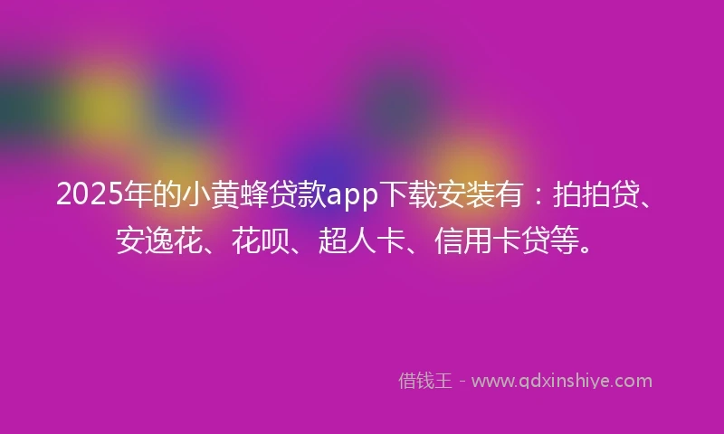 2025年的小黄蜂贷款app下载安装有：拍拍贷、安逸花、花呗、超人卡、信用卡贷等。