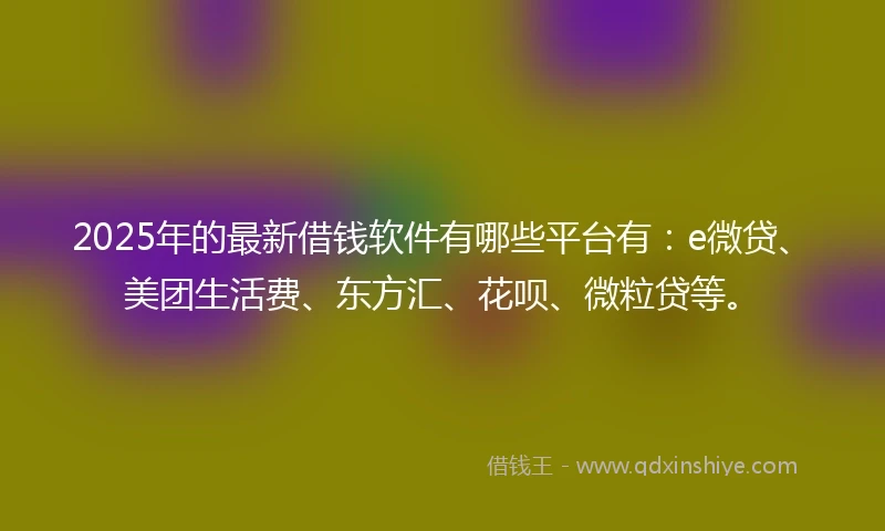 2025年的最新借钱软件有哪些平台有：e微贷、美团生活费、东方汇、花呗、微粒贷等。