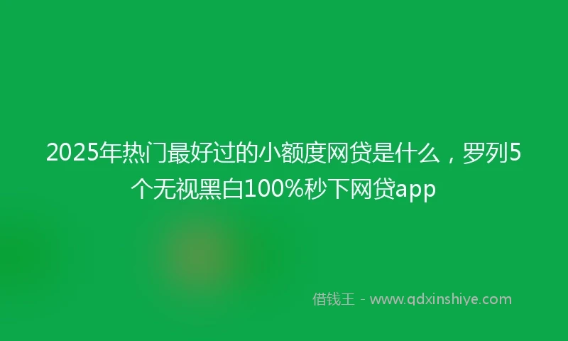 2025年热门最好过的小额度网贷是什么，罗列5个无视黑白100%秒下网贷app