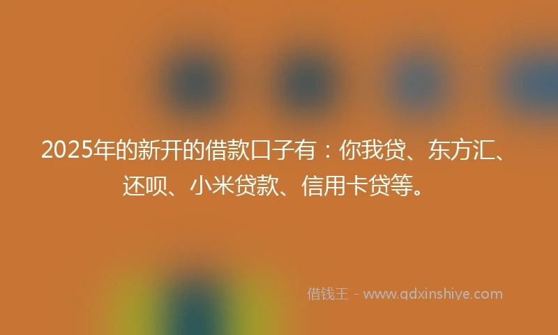 2025年的新开的借款口子有：你我贷、东方汇、还呗、小米贷款、信用卡贷等。