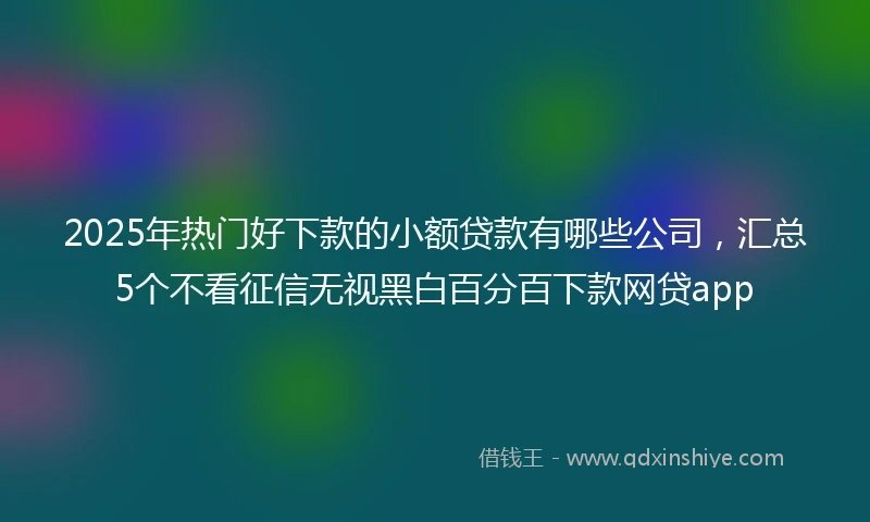 2025年热门好下款的小额贷款有哪些公司，汇总5个不看征信无视黑白百分百下款网贷app