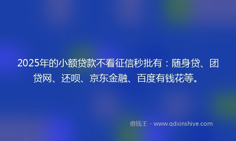 2025年的小额贷款不看征信秒批有：随身贷、团贷网、还呗、京东金融、百度有钱花等。