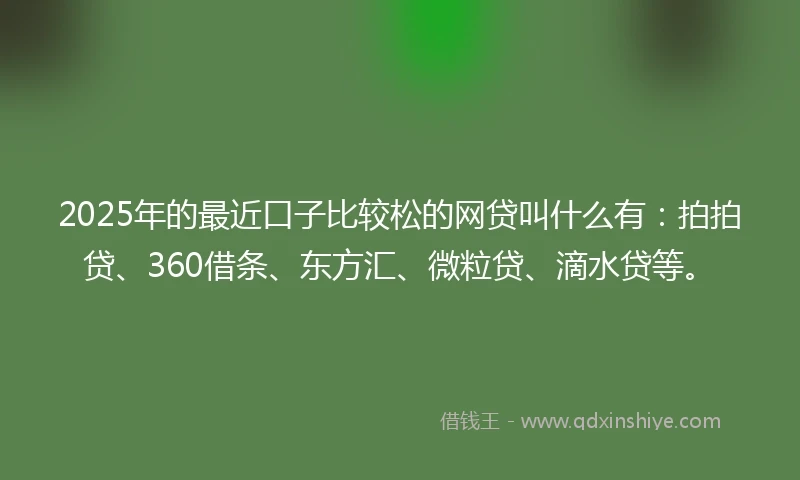 2025年的最近口子比较松的网贷叫什么有：拍拍贷、360借条、东方汇、微粒贷、滴水贷等。
