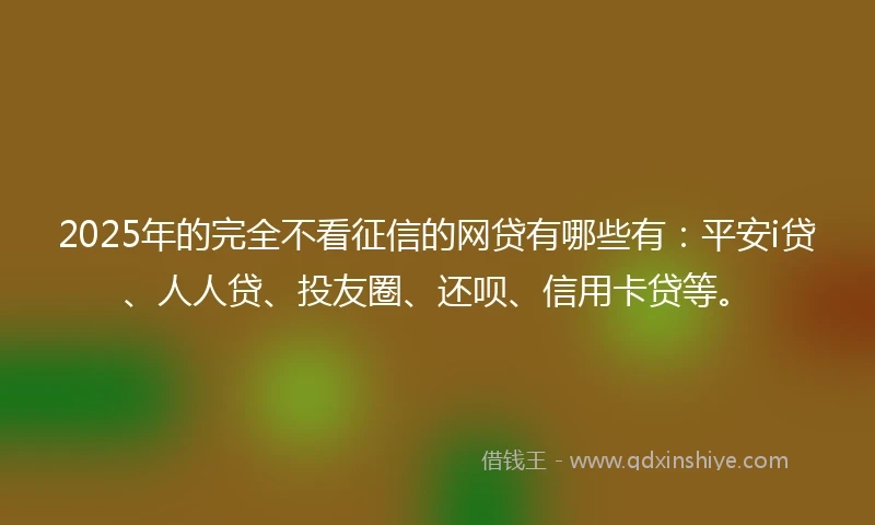 2025年的完全不看征信的网贷有哪些有：平安i贷、人人贷、投友圈、还呗、信用卡贷等。