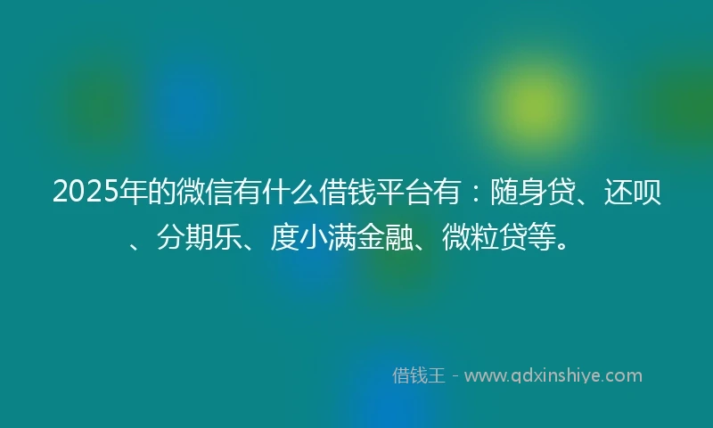 2025年的微信有什么借钱平台有：随身贷、还呗、分期乐、度小满金融、微粒贷等。