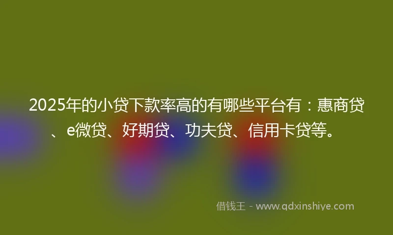 2025年的小贷下款率高的有哪些平台有：惠商贷、e微贷、好期贷、功夫贷、信用卡贷等。