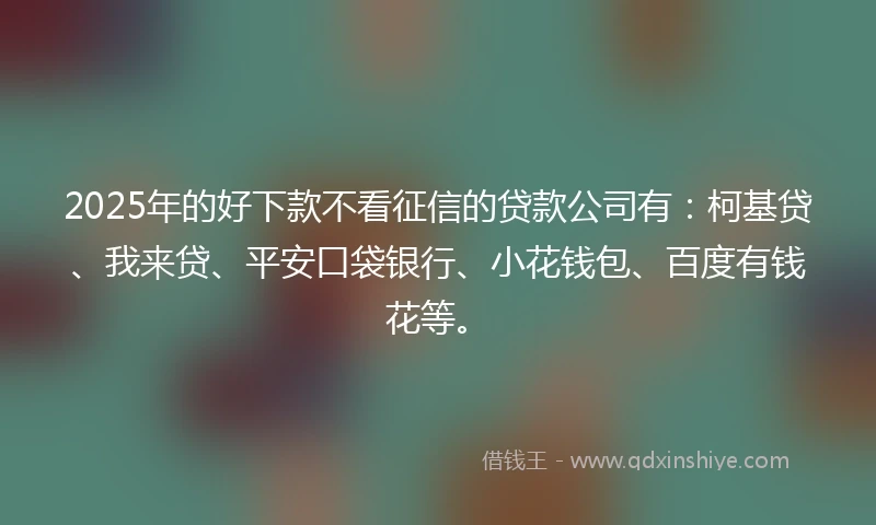 2025年的好下款不看征信的贷款公司有：柯基贷、我来贷、平安口袋银行、小花钱包、百度有钱花等。