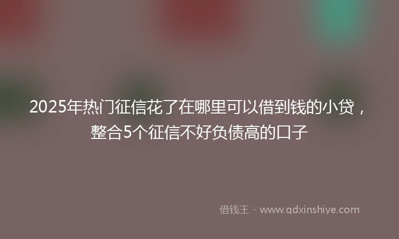 2025年热门征信花了在哪里可以借到钱的小贷，整合5个征信不好负债高的口子