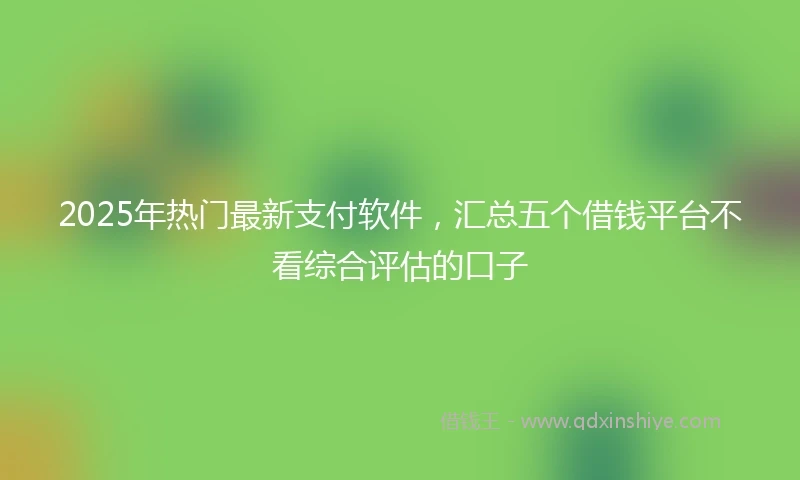 2025年热门最新支付软件，汇总五个借钱平台不看综合评估的口子